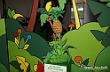 VBS_7169 - Mondo Babonzo